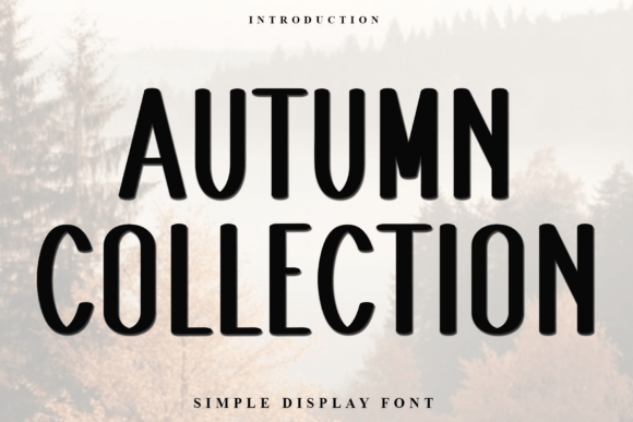 Autumn Collection: A Modern Display Font for Editorial Design