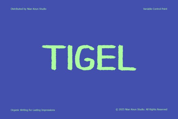 Tigel: A Rugged Display Typeface for Bold Editorial Design
